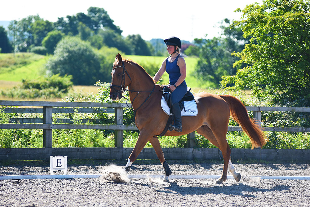 outdoorrunequestriancentrepreston3 Brookfield Equestrian Centre